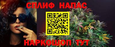 не бодяженный Тара